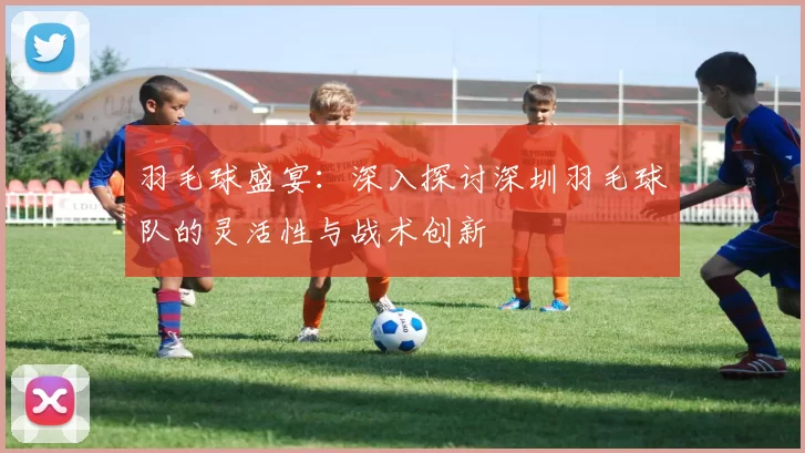 羽毛球盛宴：深入探讨深圳羽毛球队的灵活性与战术创新