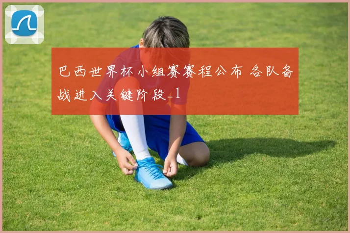巴西世界杯小组赛赛程公布 各队备战进入关键阶段_1