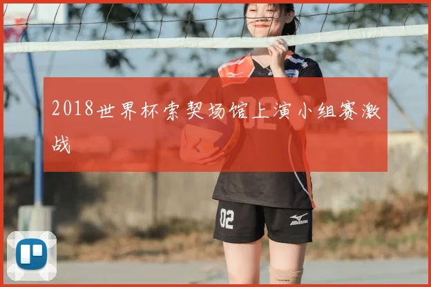 2018世界杯索契场馆上演小组赛激战