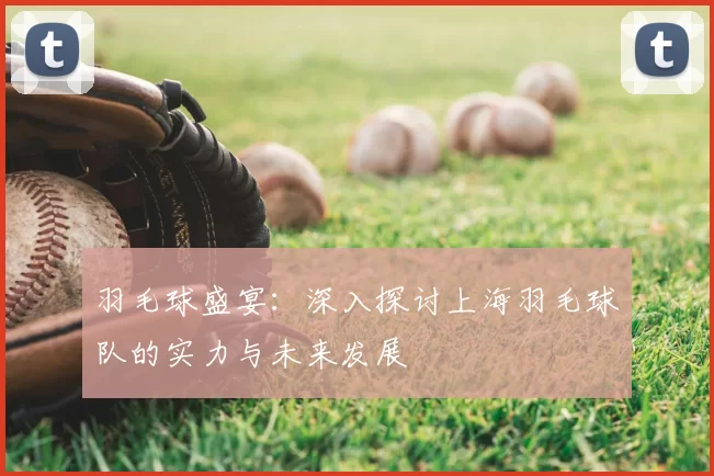 羽毛球盛宴：深入探讨上海羽毛球队的实力与未来发展