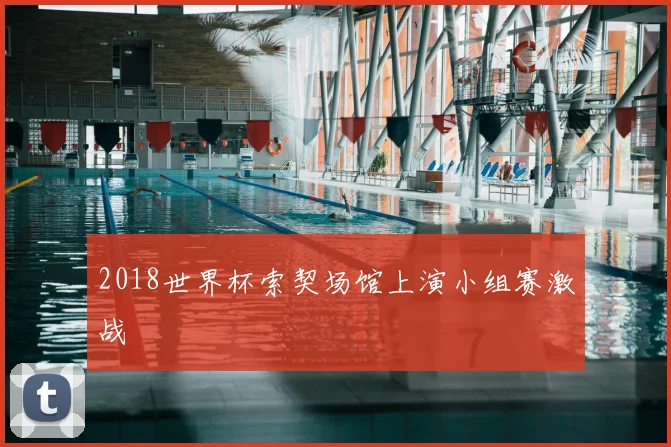 2018世界杯索契场馆上演小组赛激战