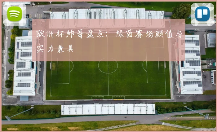 欧洲杯帅哥盘点:绿茵赛场颜值与实力兼具