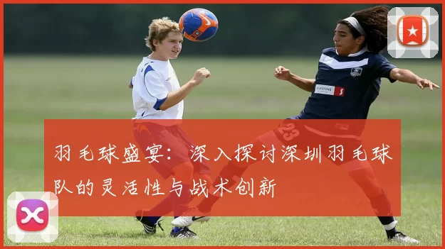 羽毛球盛宴：深入探讨深圳羽毛球队的灵活性与战术创新