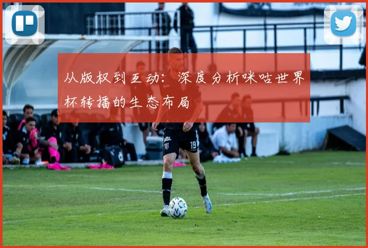 从版权到互动:深度分析咪咕世界杯转播的生态布局