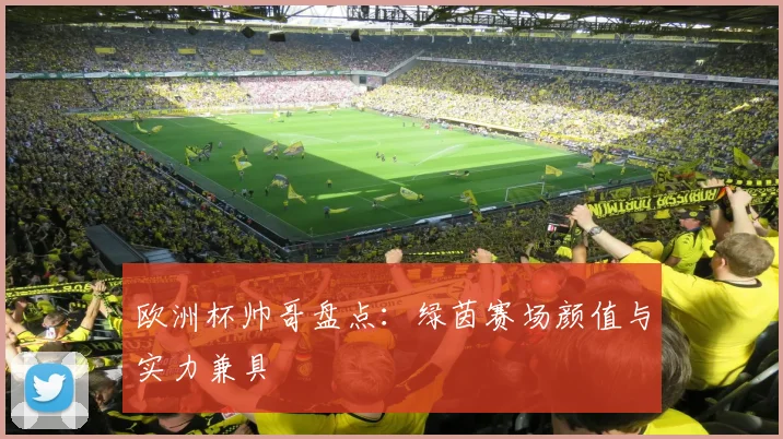 欧洲杯帅哥盘点：绿茵赛场颜值与实力兼具