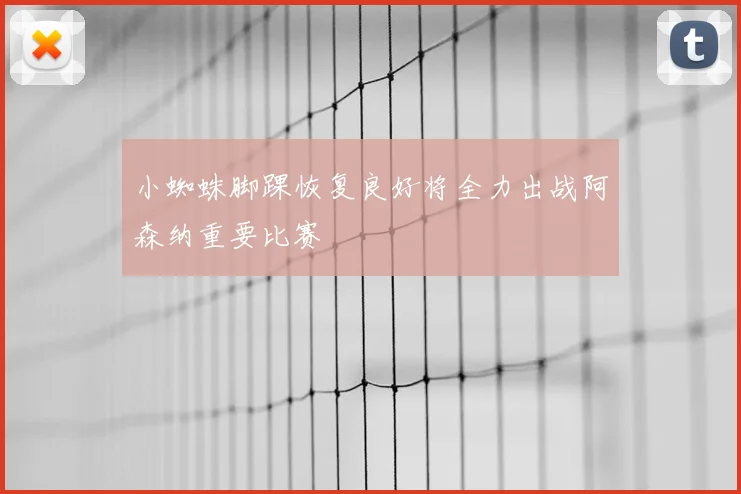 小蜘蛛脚踝恢复良好将全力出战阿森纳重要比赛