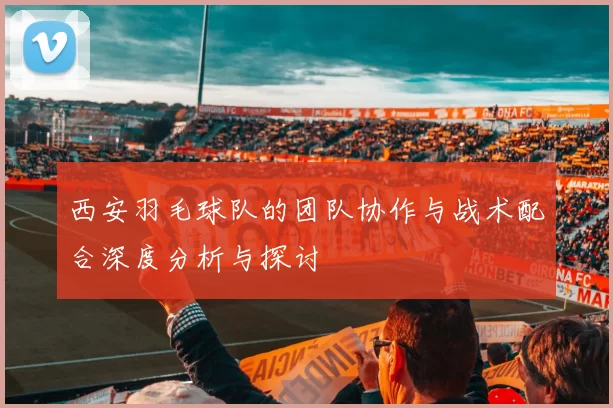 西安羽毛球队的团队协作与战术配合深度分析与探讨