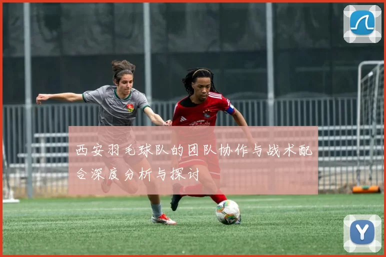 西安羽毛球队的团队协作与战术配合深度分析与探讨