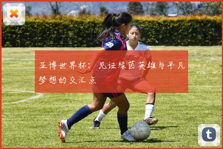 亚博世界杯：见证绿茵英雄与平凡梦想的交汇点