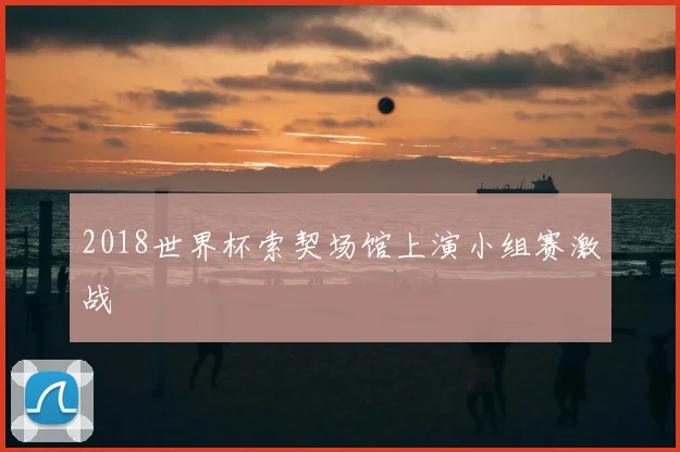 2018世界杯索契场馆上演小组赛激战