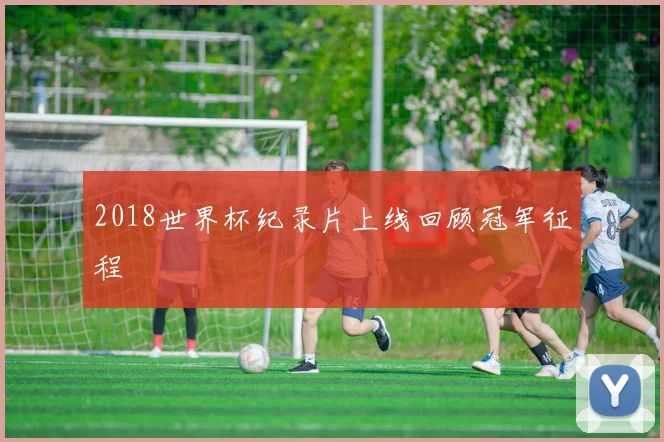 2018世界杯纪录片上线回顾冠军征程