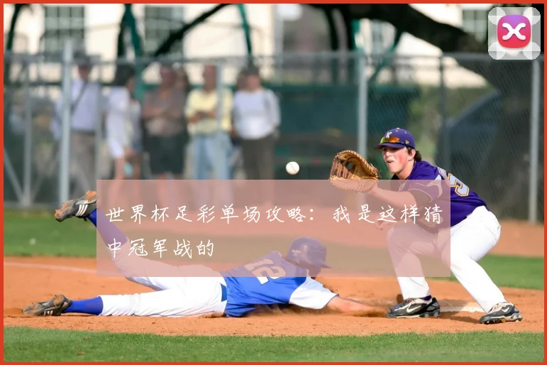 世界杯足彩单场攻略：我是这样猜中冠军战的