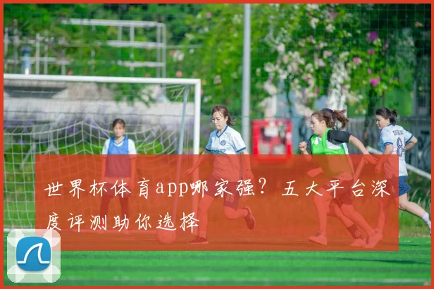 世界杯体育app哪家强?五大平台深度评测助你选择